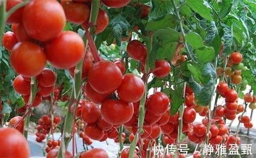 血管|中老年人坚持吃8种食物，高血压远离你，血管年轻20岁，身体更强壮