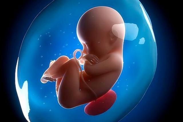 胎盘|孕期子宫内液体被称为“羊水”，为何不是牛水、马水？原来是这样