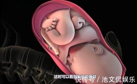 宝妈|孕期出现这三点,说明胎儿很爱妈妈哟,孕妈妈心都融化了