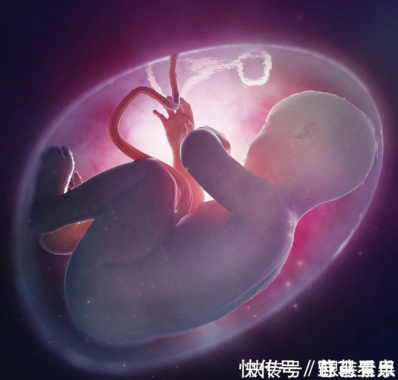 睡眠时间|孕妈晚上睡觉时,宝宝“偷偷”在肚子里干什么这也太可爱了吧