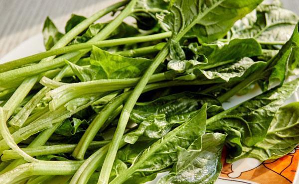 紫外线|长期涂抹防晒霜会引发缺钙吗?为你解答令人纠结的防晒问题