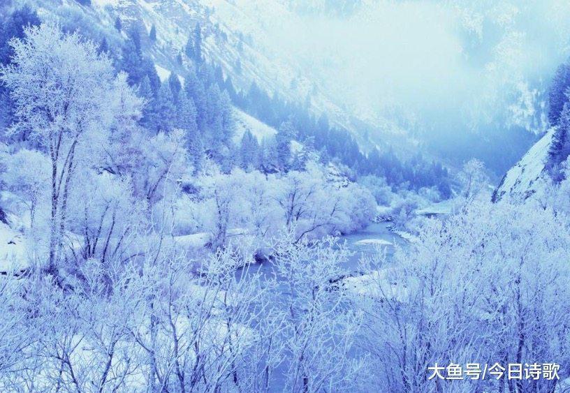 诗人|岑参最经典的一首诗, 堪称描写雪景的巅峰之作!