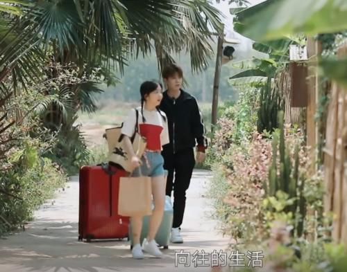 扎心|任嘉伦上《向往》变身“怼王”,句句扎心谭松韵,气得她成表情包