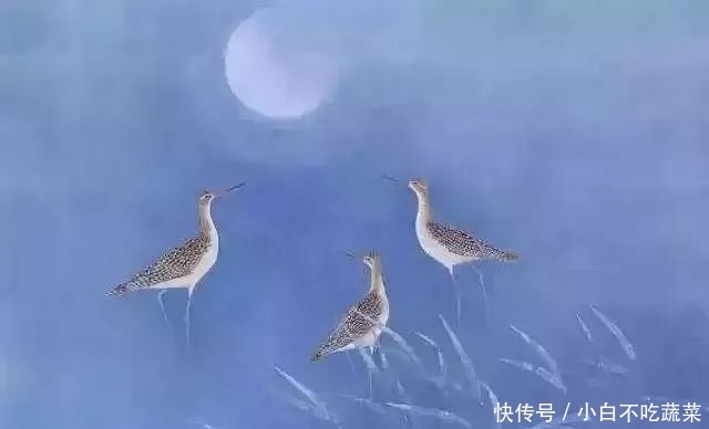 这画中的小生命，纯净天真
