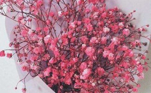 喜欢养花,不如养盆牡丹花,争奇斗艳,花色迷人,吃了还美容