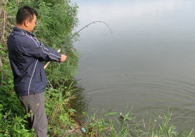 导致的鱼不吃饵|野钓河里鱼真多,就是不吃饵,有些情况就是钓鱼人自己造成的
