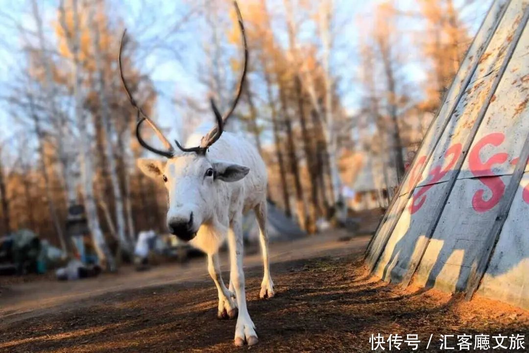 苗族|给自己一点时间：换一个空间发呆！