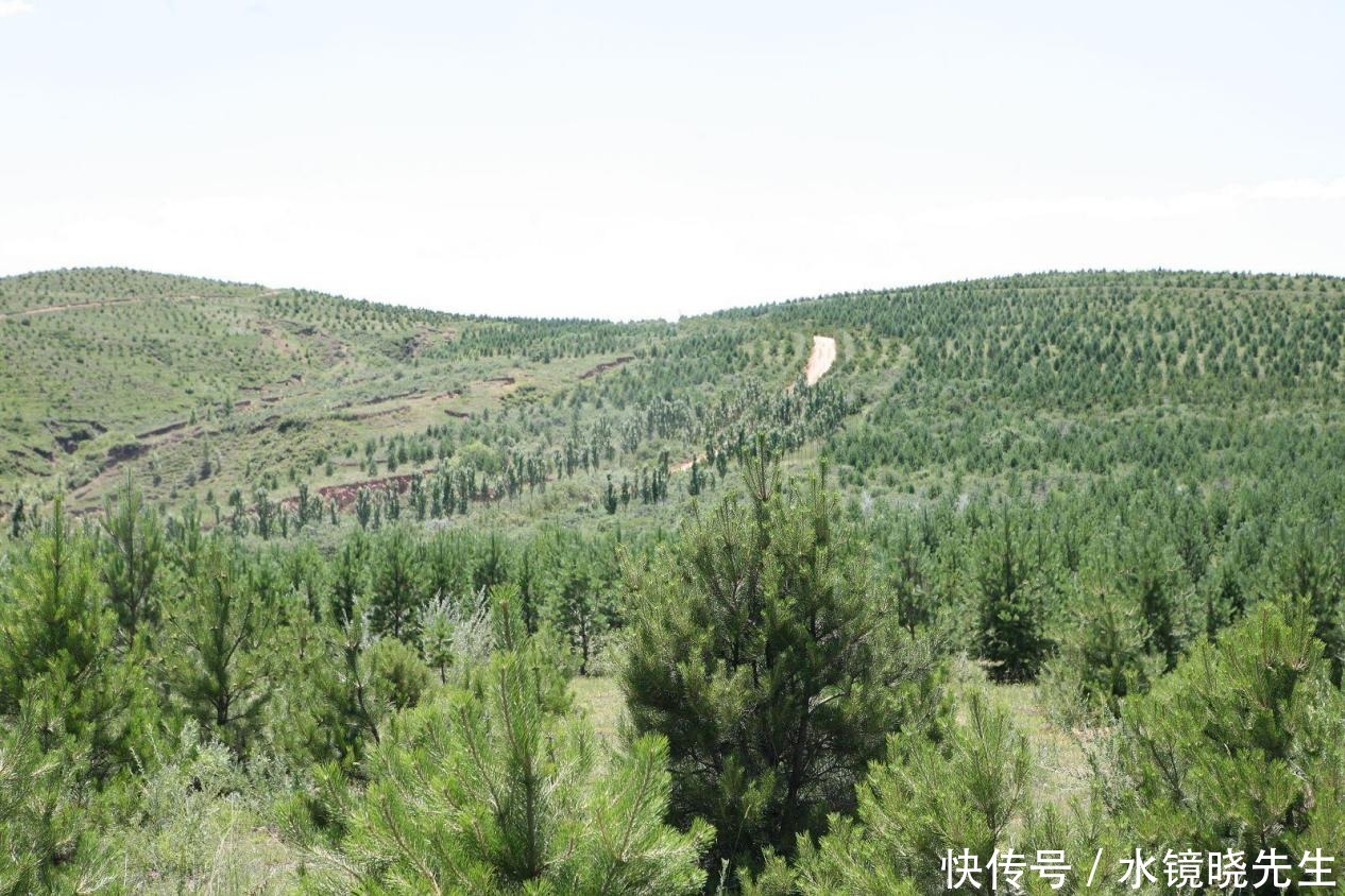 五角大楼启动卫星搞侦查,一组照片吓到整个西方,直呼中国太强了