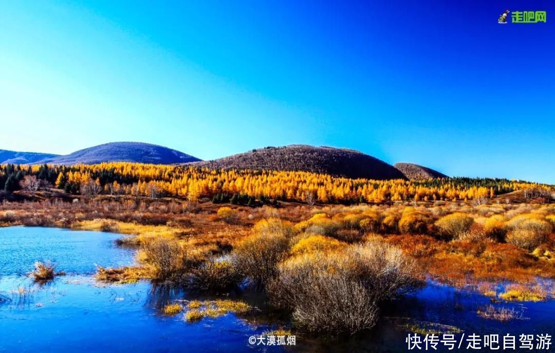 老年|这些公园，又仙又美，秒杀国内众多景点，很多人喜欢一去再去