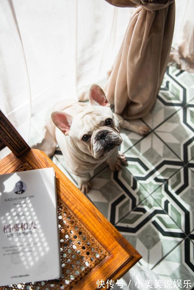 阳台上|90后小姑娘的独居公寓，阳台打造成森林，一个人住也舒服