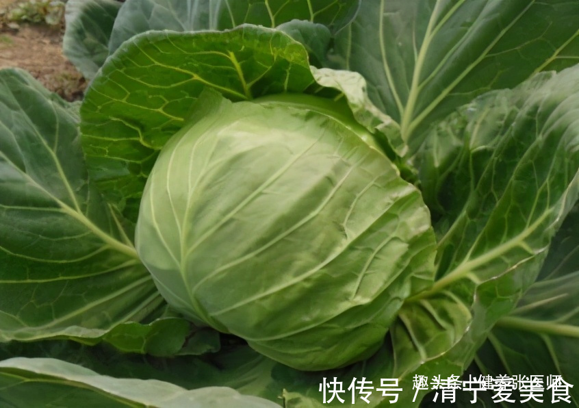 阳荷|女性适合吃的3种食物，排毒养颜，延缓衰老，有益健康