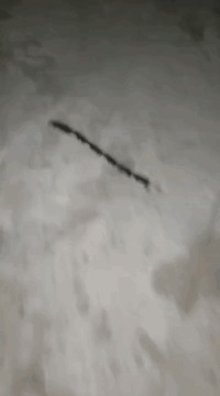 |搞笑GIF:妹子,你是站的时间太久了吗?,站的膝盖都疼了。