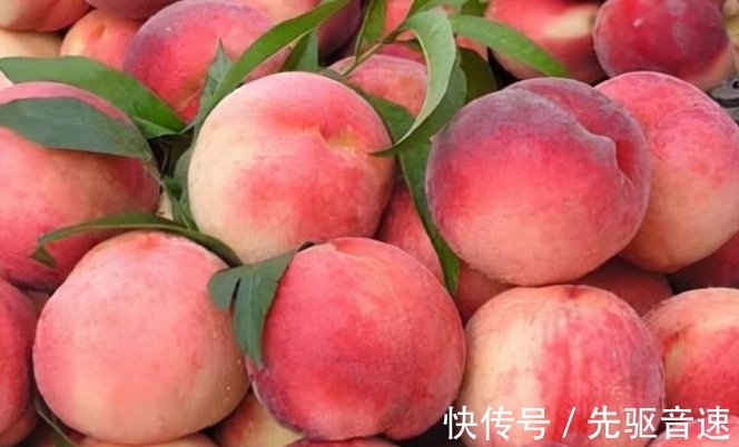 樱桃|1月是孩子生病的高发期,多吃3种好运果,寓意福气东来