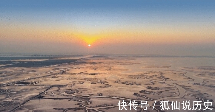 生态|最年轻的湿地生态系统——黄河三角洲