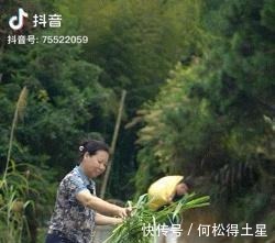 男版李子柒養(yǎng)豬種田做農(nóng)活,歲月靜好!