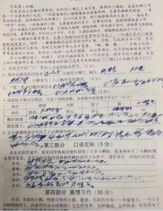 字体|小学生“狂草”字体火了,字迹奔放洒脱,网友:看着有点眼熟