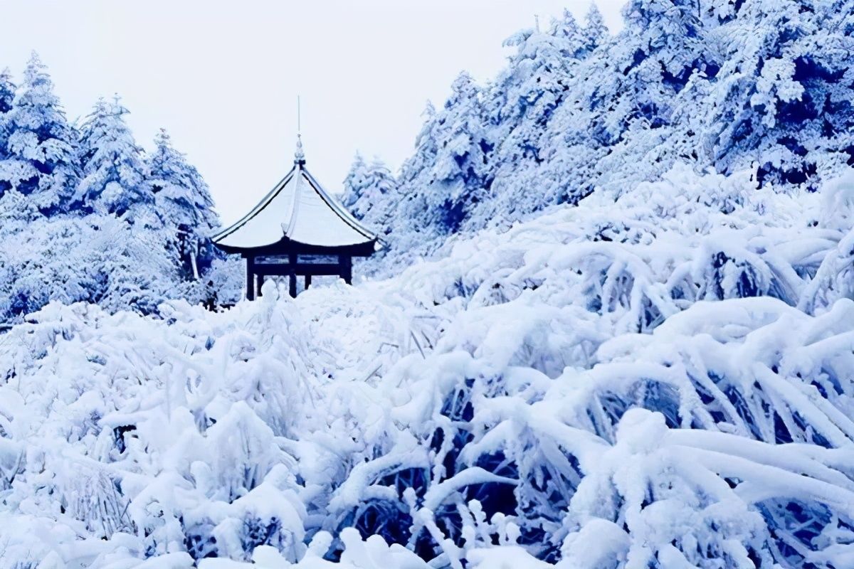 时节|又到冰雪时节