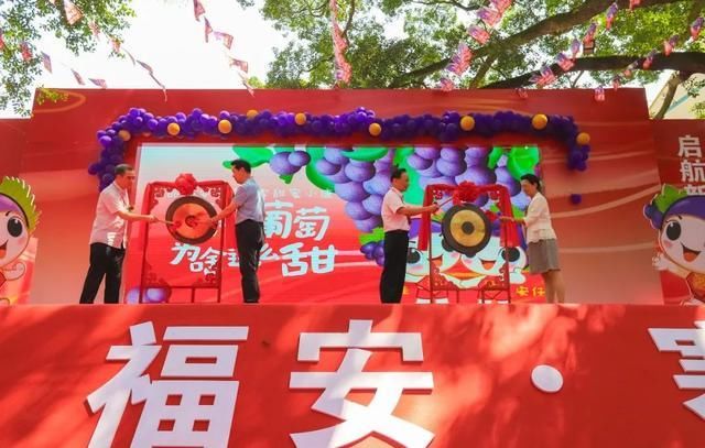 家庭巨峰葡萄种植方法