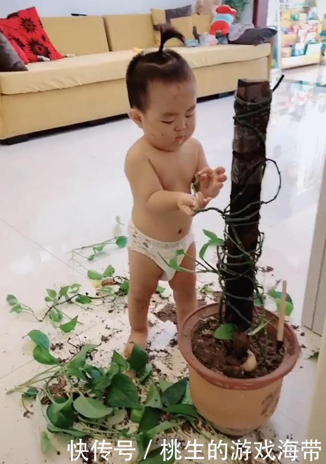 手术|奶奶做饭,宝宝趁机给家里的盆栽“做手术”,各忙各的,笑翻网友