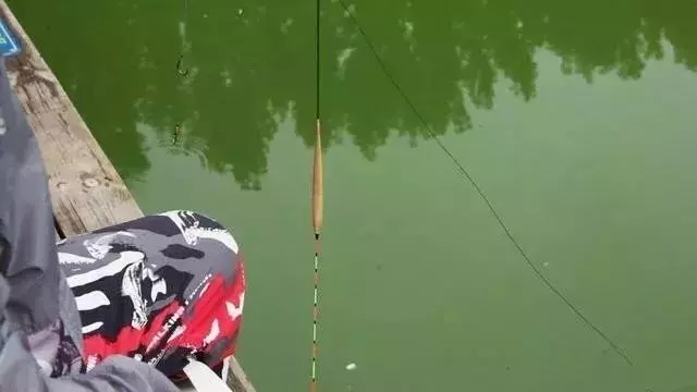野钓|钓鱼高手都不外露的野钓找底法,这样钓鱼最有效,不会的赶紧学学!