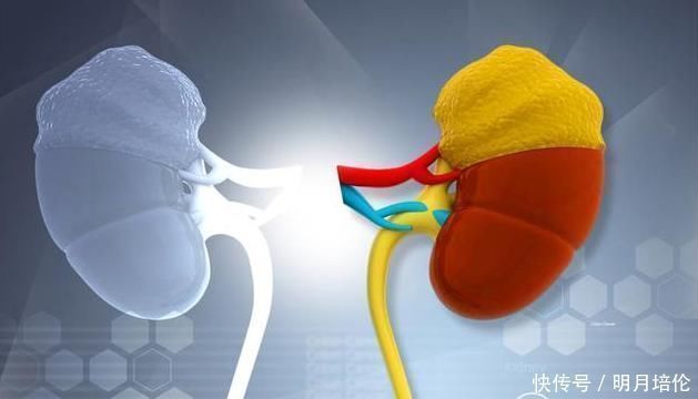 泡水|黄芪和它“天作之合”，坚持泡水喝，养肝护肾，血栓也许退避三舍