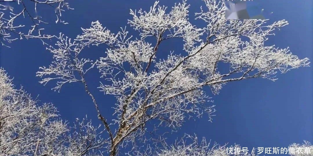 推荐丨来汉中这座慢节奏小城，邂逅一场浪漫的“风花雪月”~