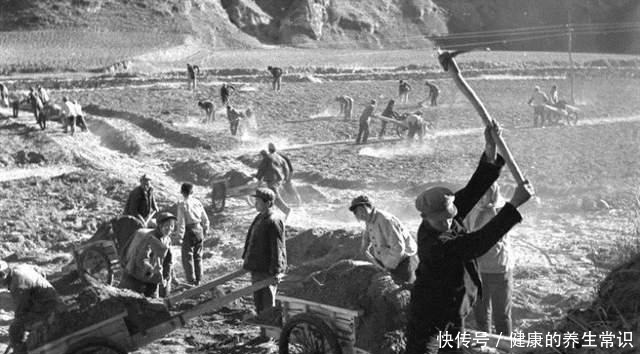  青铜器|文物惊魂24小时国宝青铜器、中国考古超重金兽及郢爰捐献始末