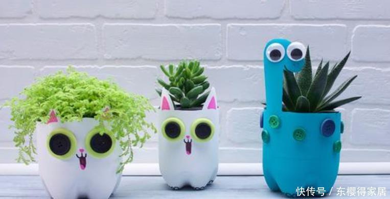没有养花的容器、肥料?将它们“废物利用”省钱,植物长势更好