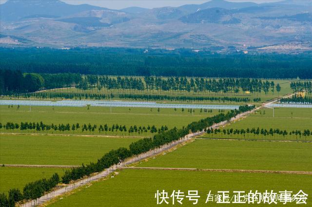 国有土地上房屋征收与补偿条例|房屋征收中你不可不知的4个细节,弄好了补偿能涨一大块!