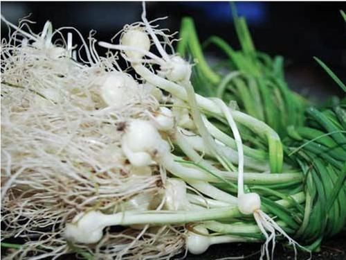 食物|人到中年想养生，三种食物换着吃，养护心脏，软化血管，增强体质