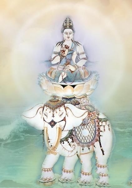 龙族&菩提老祖教孙悟空的目的,和西游记中隐藏的一个惊天大阴谋