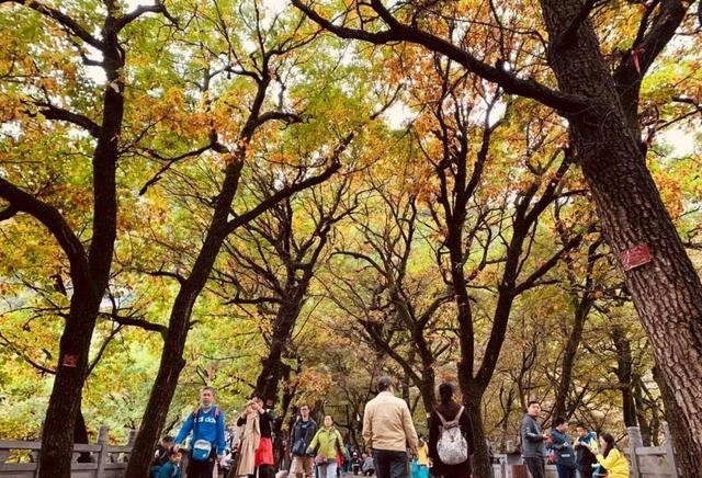 崆峒|找寻秋日的第一抹颜色！接下来的崆峒山会变得越来越……