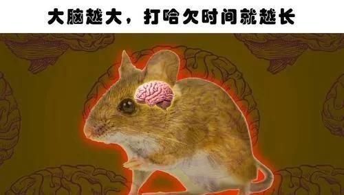 你肯定没有听过的10个冷知识与现实生活息息相关