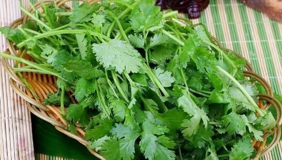 蔬菜|虽然吃蔬菜很好,但是孕妇应该远离这五种蔬菜子宫里的婴儿不喜欢它们