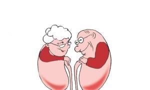 3年的耳聋好了,耳鸣不见了,只需2味药,一通一补,立见效