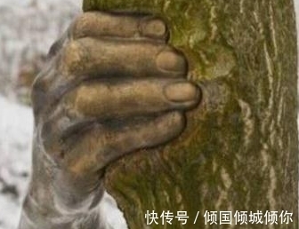 第一眼看&这只大树之手,紧抓住大树几十年不放,有点意义