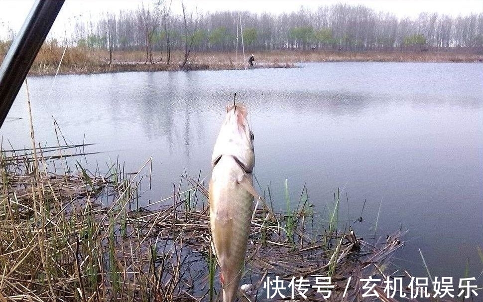 不打窝就不会钓鱼了?因时制宜,冬季不打窝怎么钓鱼?