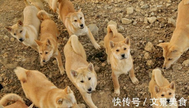 痛风|高血压、高血糖、高血脂、高尿酸不能吃啥？50岁以后应人手一份！