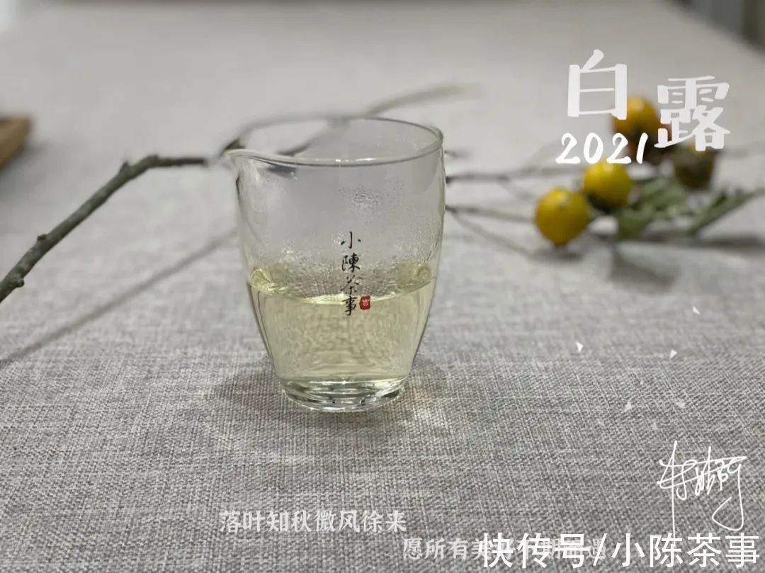 花香&漫长炎热天气的产物，茶汤带着花蜜般的鲜甜，2021白露茶我见犹怜