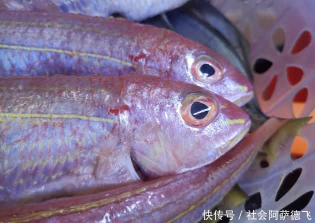 医生从不吃的4种鱼,多数人还当成山珍美味,疾病一旁虎视眈眈