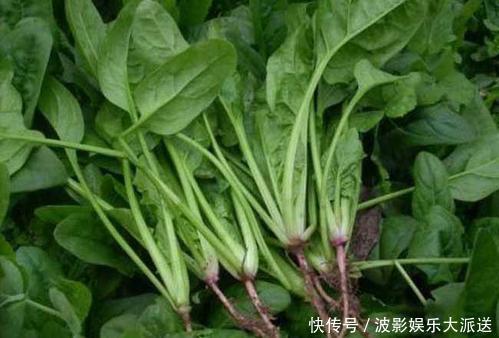 银耳|想长寿先养肝,推荐多吃以下食物,养肝护肝,增强机体免疫力