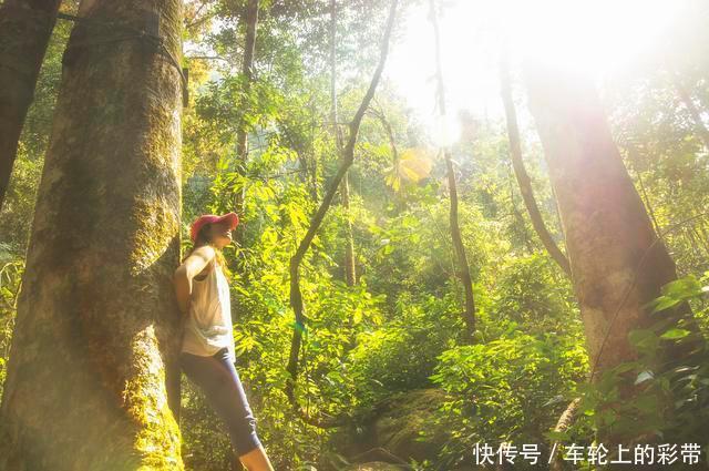 诗词丨芳菲随春去,葱茏入夏来