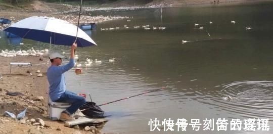 夏季大鱼难给口,错了因为调钓的灵钝,在一开始就有了误差