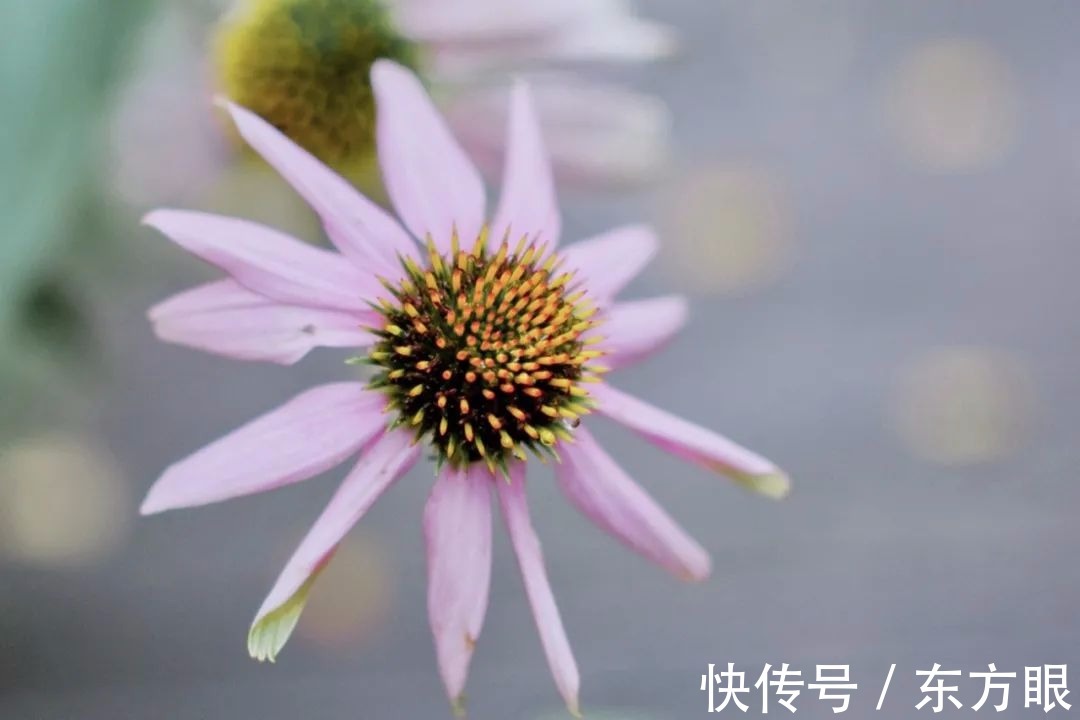 醒悟|人生的醒悟,从三次“接受”开始