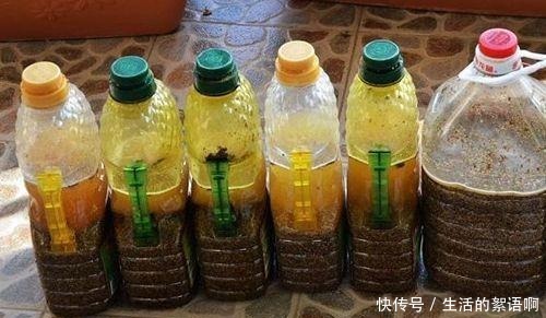 大米怎么发酵做肥料