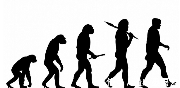 天道#掌握规律的人就能掌握命运,厉害的人,大都参透了三条天道规律