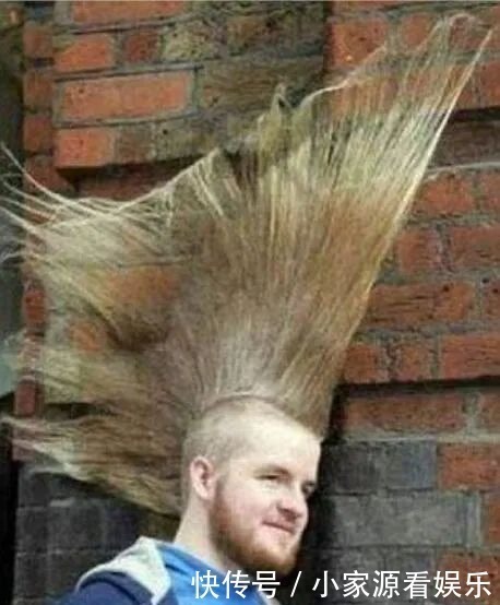后脑勺|这外国人的奇葩发型,肚子都笑破了皮!哈哈哈哈哈哈!