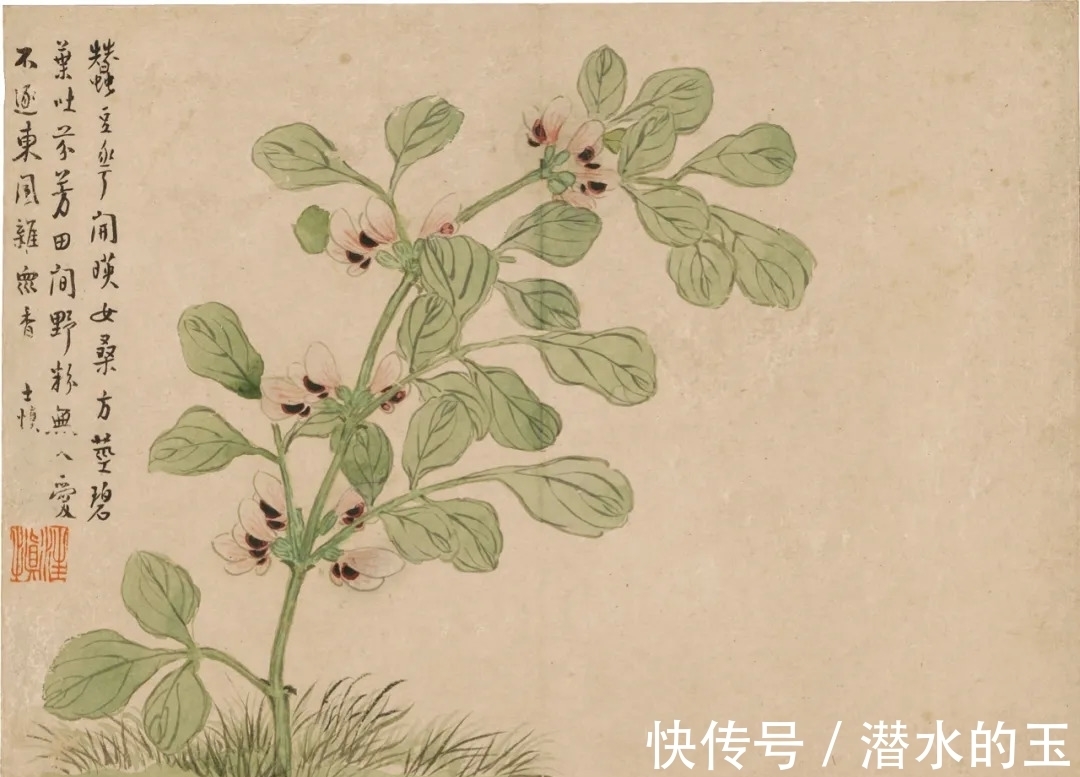 花卉图$汪士慎:一生心事为花忙丨私享艺术