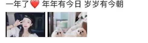 |盘点女孩子那些奇葩搞笑名场面，智商不在线系列，真会玩