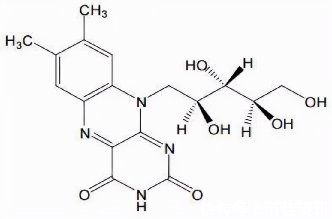 高血压|几块钱一瓶的维生素B2,却是高血压的“克星”,早知道早受益